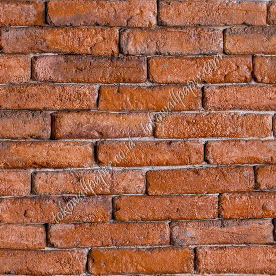 TERRA TRA617
Wallpaper